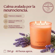 Vela aromatica lavanda relajacion