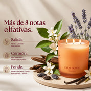 Vela aromatica lavanda relajacion