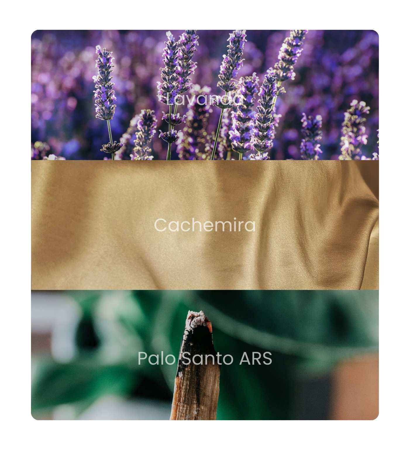 notas_calm_1_movil_bien